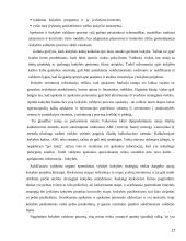 Kokybiško ir konkurencingo gaminio kūrimas 17 puslapis
