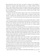 Kokybiško ir konkurencingo gaminio kūrimas 19 puslapis