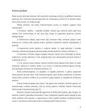 Kokybiško ir konkurencingo gaminio kūrimas 4 puslapis