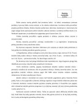 Kokybiško ir konkurencingo gaminio kūrimas 7 puslapis