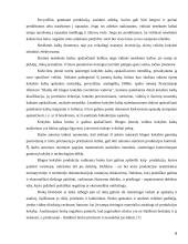 Kokybiško ir konkurencingo gaminio kūrimas 8 puslapis