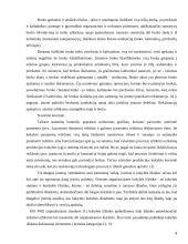 Kokybiško ir konkurencingo gaminio kūrimas 9 puslapis