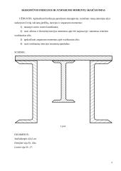 Skerspjūvio inercijos ir atsparumo momentų skaičiavimas 1 puslapis