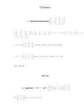 Tiesinė algebra. Vektorinės algebros ir analizinės geometrijos elementai 1 puslapis