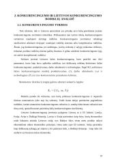 Lietuvos ekonomikos konkurencingumas ir valstybės įtaka jo didinimo galimybėms 19 puslapis