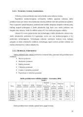 Lietuvos ekonomikos konkurencingumas ir valstybės įtaka jo didinimo galimybėms 20 puslapis
