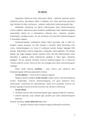 Lietuvos ekonomikos konkurencingumas ir valstybės įtaka jo didinimo galimybėms 3 puslapis