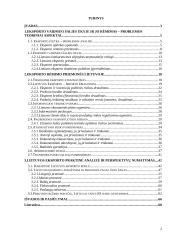 Lietuvos eksporto plėtra, ir jai įtaką darantys veiksniai 2 puslapis