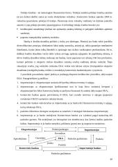 Lietuvos eksporto plėtra, ir jai įtaką darantys veiksniai 20 puslapis