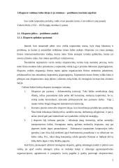 Lietuvos eksporto plėtra, ir jai įtaką darantys veiksniai 5 puslapis