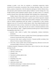 Lietuvos eksporto plėtra, ir jai įtaką darantys veiksniai 6 puslapis