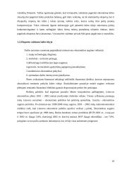 Lietuvos eksporto plėtra, ir jai įtaką darantys veiksniai 10 puslapis