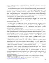 Lietuvos užsienio prekybos balanso raida 12 puslapis