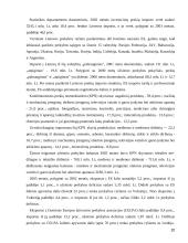 Lietuvos užsienio prekybos balanso raida 20 puslapis