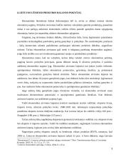 Lietuvos užsienio prekybos balanso raida 3 puslapis