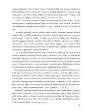 Lietuvos užsienio prekybos balanso raida 4 puslapis