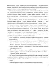 Lietuvos užsienio prekybos balanso raida 5 puslapis