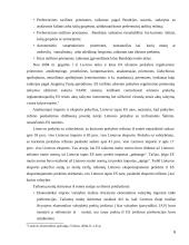 Lietuvos užsienio prekybos balanso raida 6 puslapis