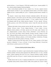 Lietuvos užsienio prekybos balanso raida 9 puslapis