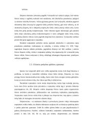 Pagrindinės eksporto sėkmės prielaidos 12 puslapis