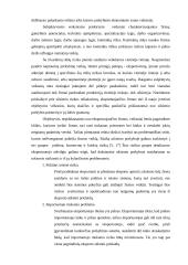 Pagrindinės eksporto sėkmės prielaidos 14 puslapis