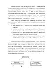 Pagrindinės eksporto sėkmės prielaidos 16 puslapis