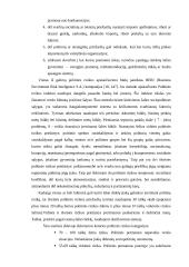 Pagrindinės eksporto sėkmės prielaidos 18 puslapis