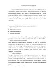 Pagrindinės eksporto sėkmės prielaidos 20 puslapis