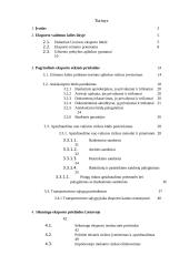 Pagrindinės eksporto sėkmės prielaidos 3 puslapis