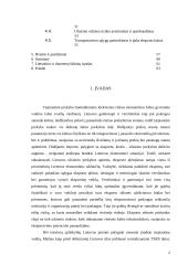 Pagrindinės eksporto sėkmės prielaidos 4 puslapis