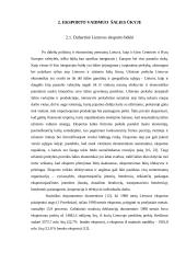 Pagrindinės eksporto sėkmės prielaidos 7 puslapis