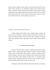 Pagrindinės eksporto sėkmės prielaidos 10 puslapis