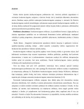 Konkurencingumo reiškinio samprata ir ją atspindinčio ekonominio modelio jėgos bei struktūra 2 puslapis