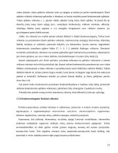 Konkurencingumo reiškinio samprata ir ją atspindinčio ekonominio modelio jėgos bei struktūra 11 puslapis