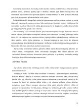 Konkurencingumo reiškinio samprata ir ją atspindinčio ekonominio modelio jėgos bei struktūra 12 puslapis