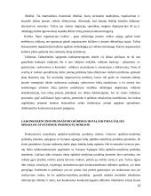 Konkurencingumo reiškinio samprata ir ją atspindinčio ekonominio modelio jėgos bei struktūra 13 puslapis