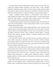 Konkurencingumo reiškinio samprata ir ją atspindinčio ekonominio modelio jėgos bei struktūra 16 puslapis