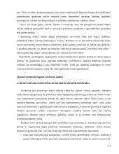 Konkurencingumo reiškinio samprata ir ją atspindinčio ekonominio modelio jėgos bei struktūra 17 puslapis