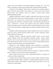 Konkurencingumo reiškinio samprata ir ją atspindinčio ekonominio modelio jėgos bei struktūra 19 puslapis