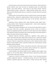 Konkurencingumo reiškinio samprata ir ją atspindinčio ekonominio modelio jėgos bei struktūra 20 puslapis