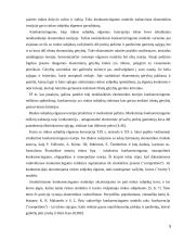 Konkurencingumo reiškinio samprata ir ją atspindinčio ekonominio modelio jėgos bei struktūra 5 puslapis