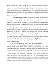 Įmonės aplinkos įtaka formuojant įmonės strategiją 11 puslapis