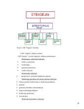 Įmonės aplinkos įtaka formuojant įmonės strategiją 19 puslapis