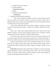 Įmonės aplinkos įtaka formuojant įmonės strategiją 20 puslapis