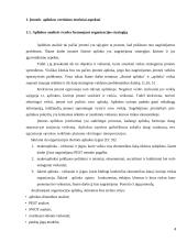 Įmonės aplinkos įtaka formuojant įmonės strategiją 4 puslapis