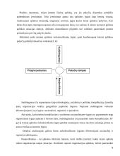 Įmonės aplinkos įtaka formuojant įmonės strategiją 5 puslapis
