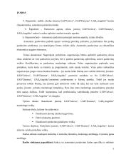 Asmeninio pardavimo proceso analizė bendrovėse 5 puslapis