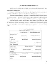 Asmeninio pardavimo proceso analizė bendrovėse 10 puslapis