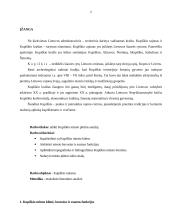 Kupiškio miesto plėtros analizė 2 puslapis