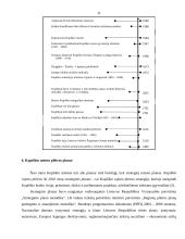 Kupiškio miesto plėtros analizė 11 puslapis